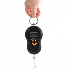 A04 50kg Electronic Digital Hanging Scale Weighing Tool - Black