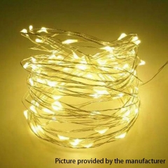 Starry Sky LED Lights 10Meter (DC 12V) - Warm White