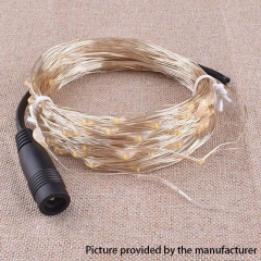 Starry Sky LED Lights 10Meter (DC 12V) - Warm White