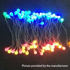 Round Ball Rainbow LED lights 10 Meters 220V (USB Version) - Rainbow