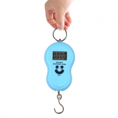 A04 50kg Electronic Digital Hanging Scale Weighing Tool - Blue