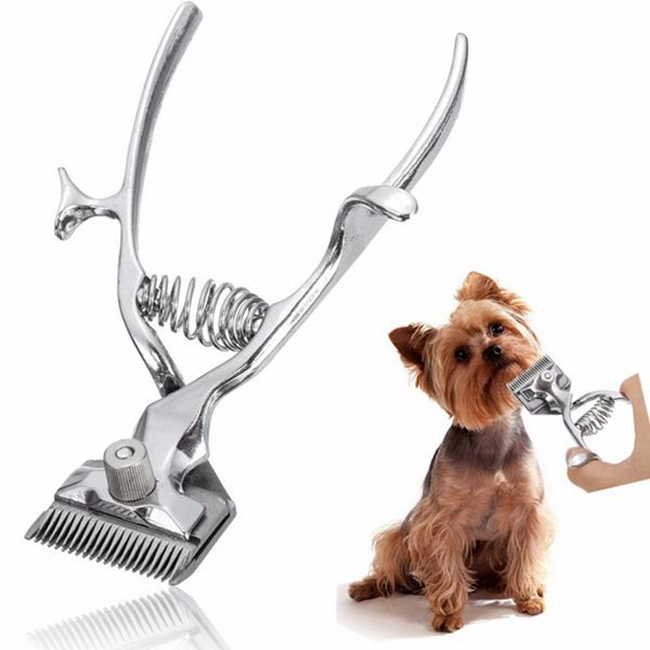 Buy Professional Kit Animal Pet Cat Dog Hair Trimmer Shaver Razor ...