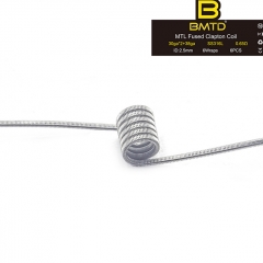 BMTD MTL Fused Clapton Coil SS316L 30GA*2+38GA 2.5mm (6pcs) - 0.65ohm