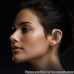 GIONEE OpenAir Earphone Wireless Bluetooth 5.3 Headphones Stereo Bass With Microphone Noise Reduction Mini Headset JL001  - Black
