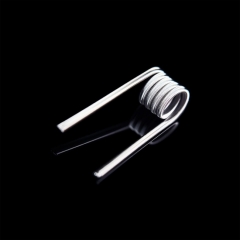 Authentic Thunder Cloud Ni80 2-Core Alien Coil 28GA*2+40GA 0.55ohm 2pcs - Straight